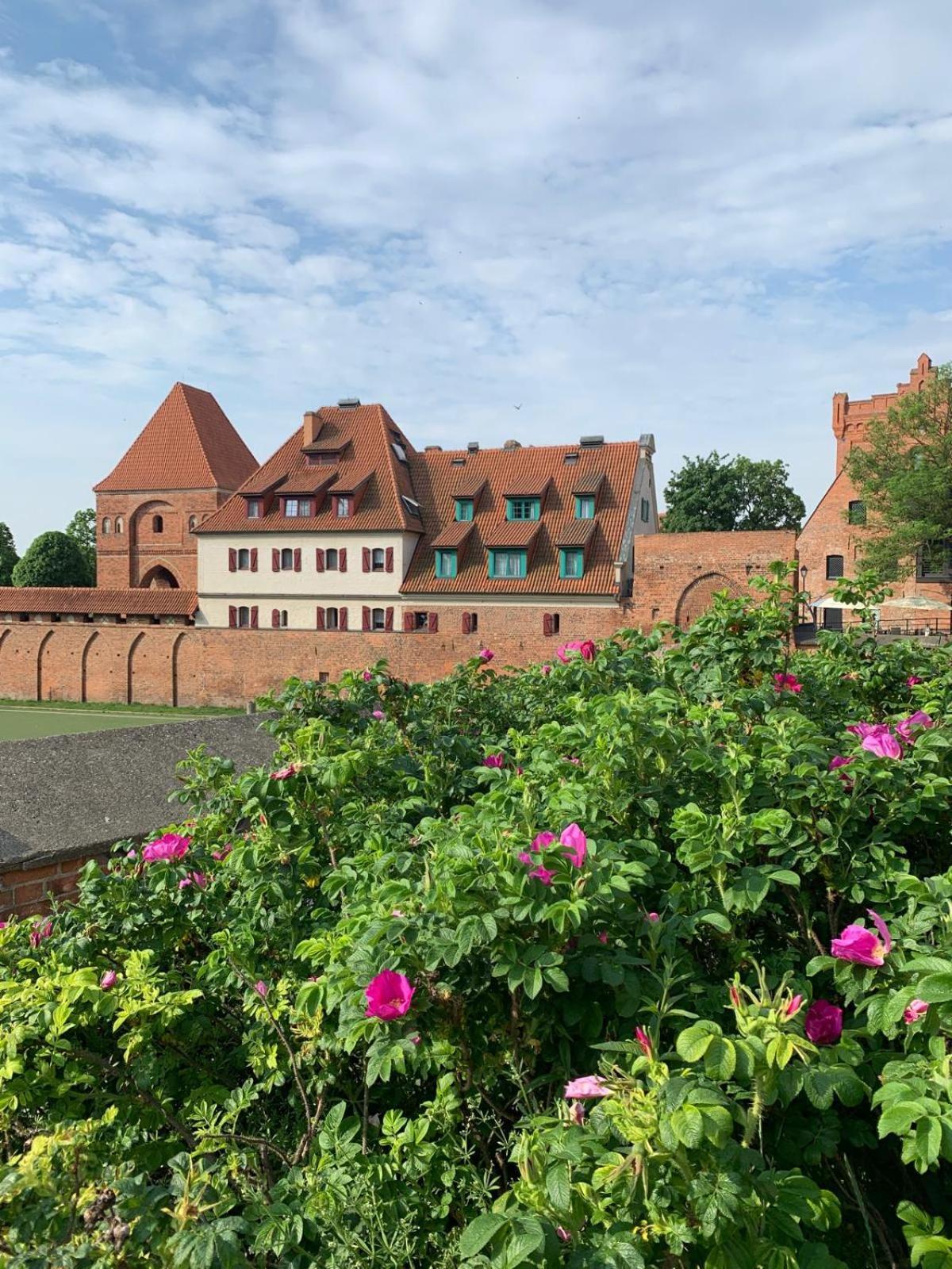 Apartment Krysztalowy Torun